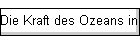 Die Kraft des Ozeans in uns